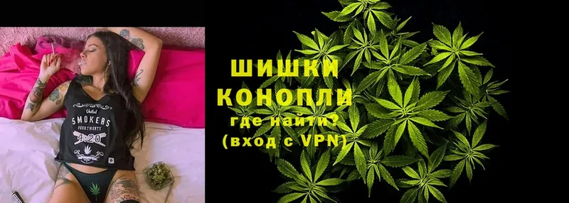 купить наркотики цена  Алзамай  Шишки марихуана SATIVA & INDICA 